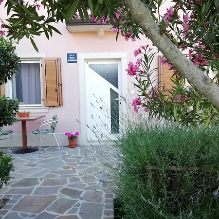 Apartmani Vesna Бує Екстер'єр фото