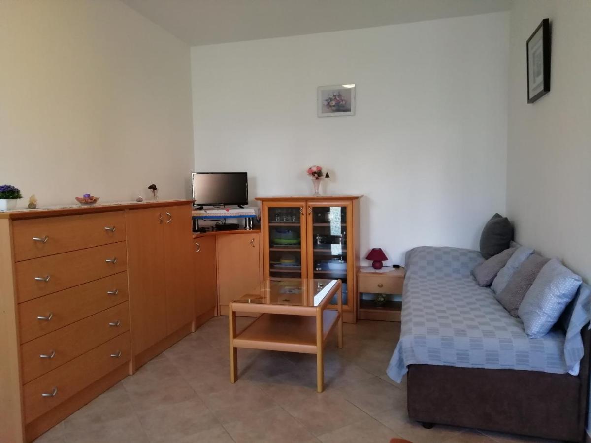 Apartmani Vesna Бує Екстер'єр фото