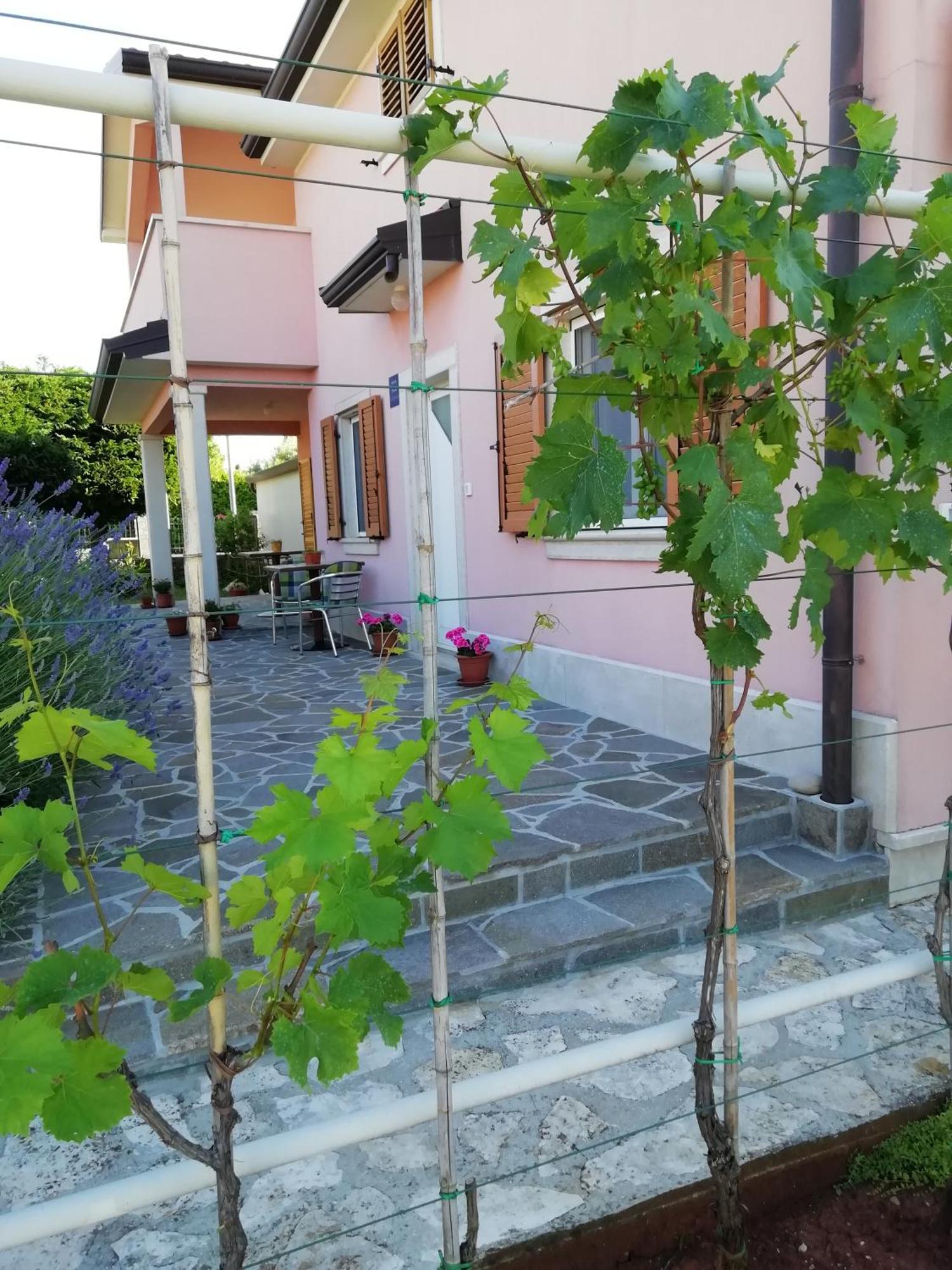 Apartmani Vesna Бує Екстер'єр фото
