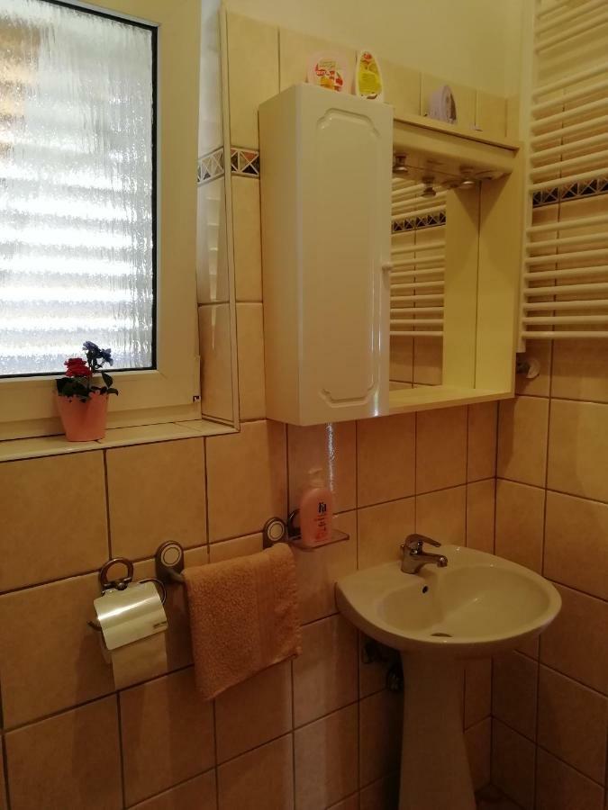 Apartmani Vesna Бує Екстер'єр фото